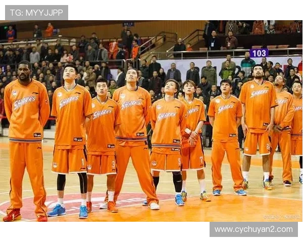 西安乒乓球队联赛表现分析团队配合与战术运用的成功之道