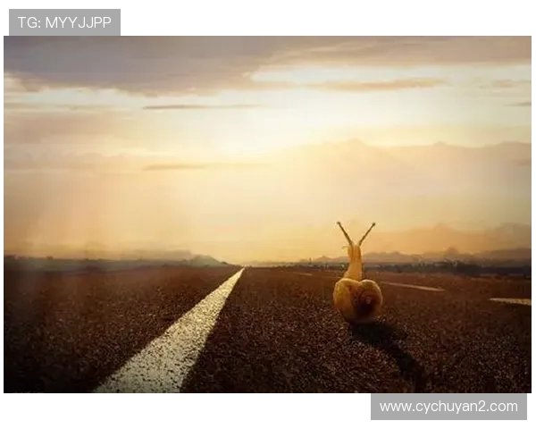 李晓旭的成长之路：从默默无闻到闪耀舞台的励志故事