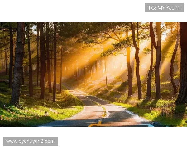 林葳：在繁忙都市中追寻心灵的宁静与自我成长的旅程