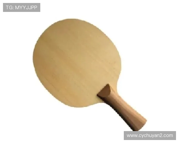 乒乓球新手必看:从基础技巧到实战策略的全面入门指南 乒乓球新手必看:从基础技巧到实战策略的全面入门指南