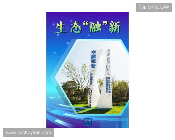 深入分析杭州飞盘队的独特节奏打法与战术优势